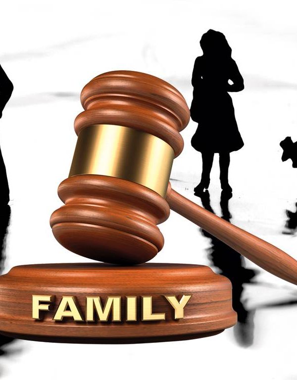 parental alienation - judge hammer making decision