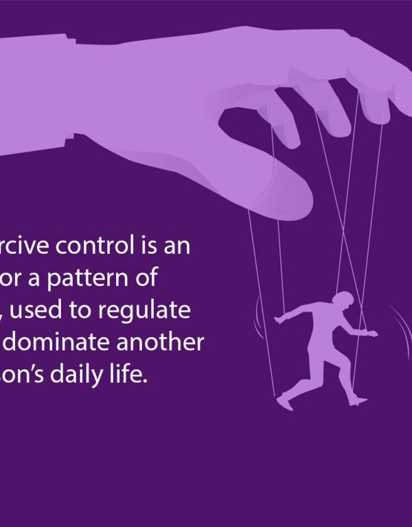 understanding coercive control